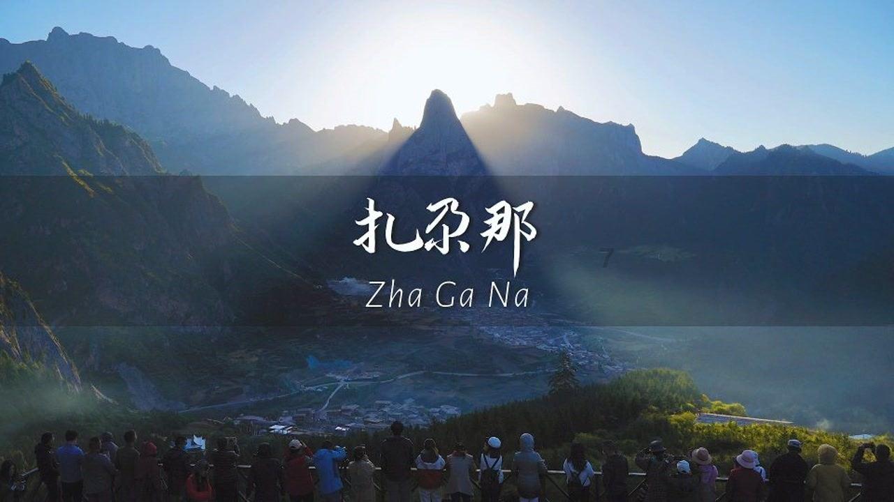 大花园植物逃生